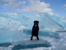 Jetta On Blue Ice Beaver Island Winter 2014